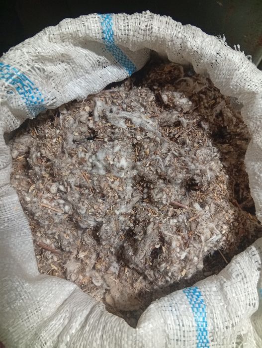 Мол қуй учун витамин ем