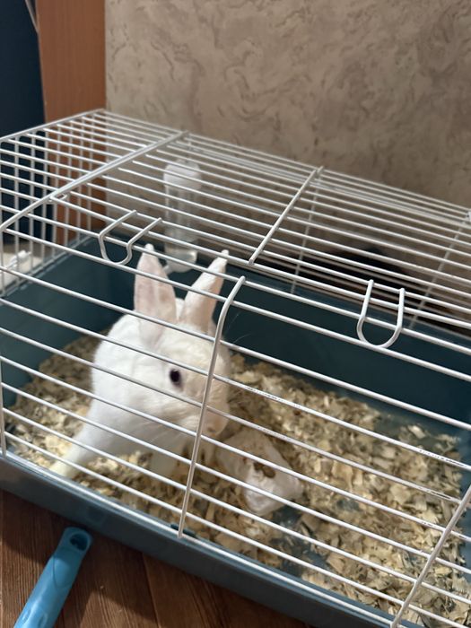 Порадуйте своих деток