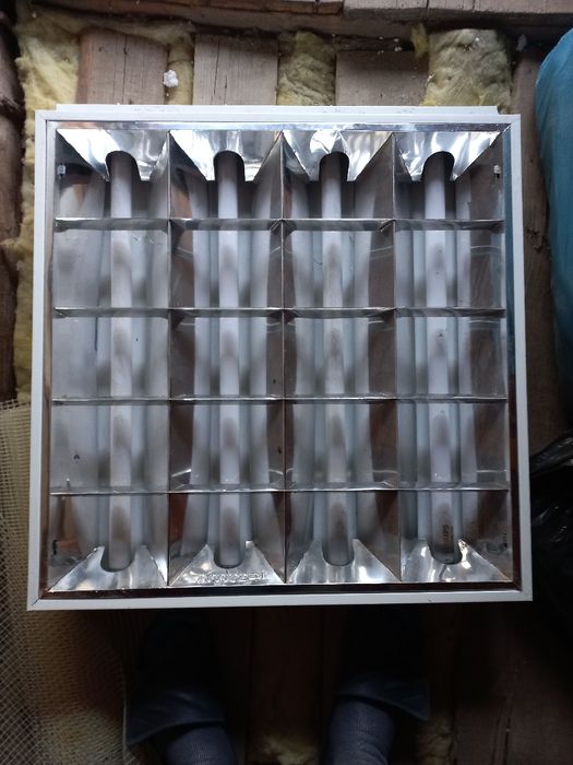 Neoane neoane neoane