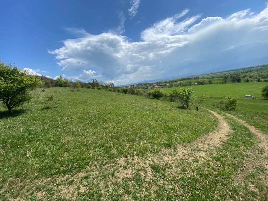 Teren 14,61 ha de vânzare – Hălmeag, Brașov