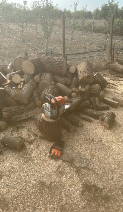 Косене , премахване и рязане на дървета