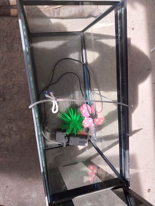 Аквариум с компрессором