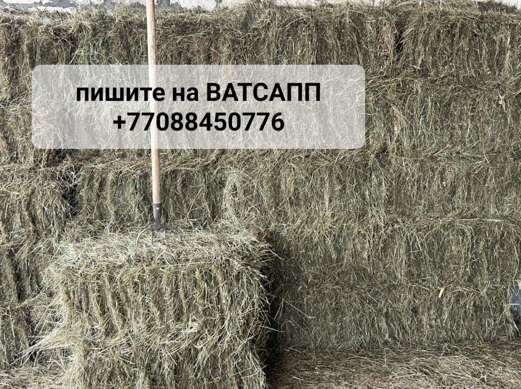 Расходится узел. Пресс-подборщик Киргизстан. Страница 368 из 390