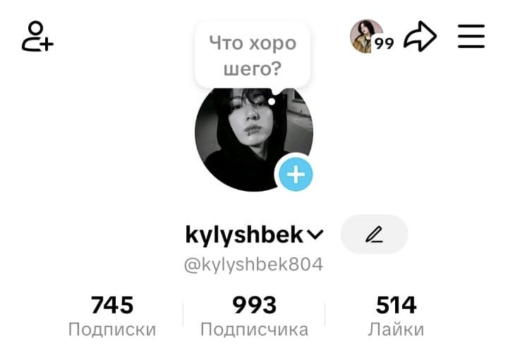 тикток аккаунт / тт акк