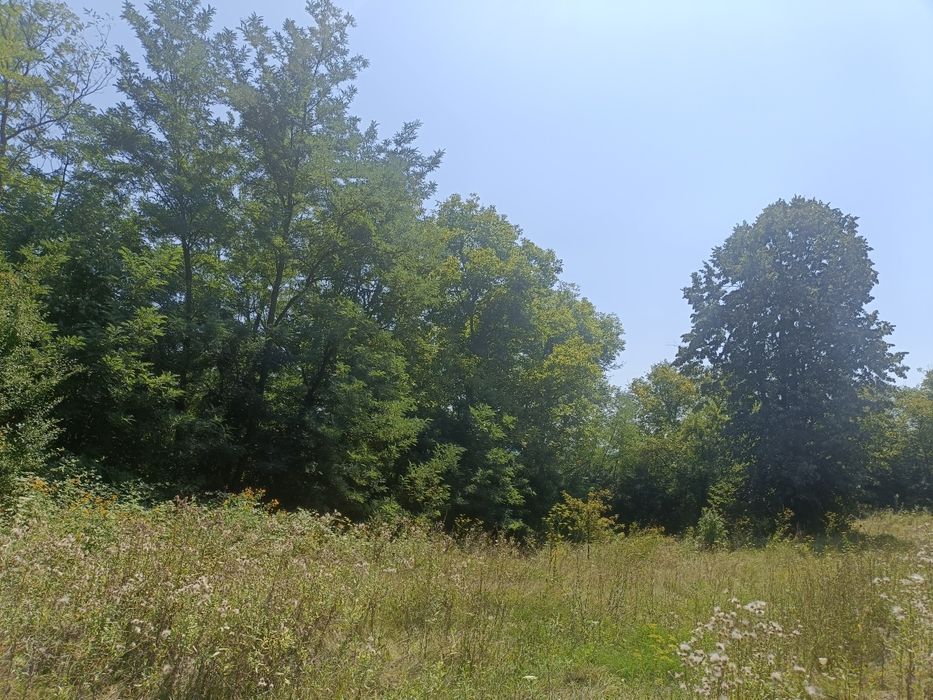 Vând teren pentru casa Ariceștii Zeletin