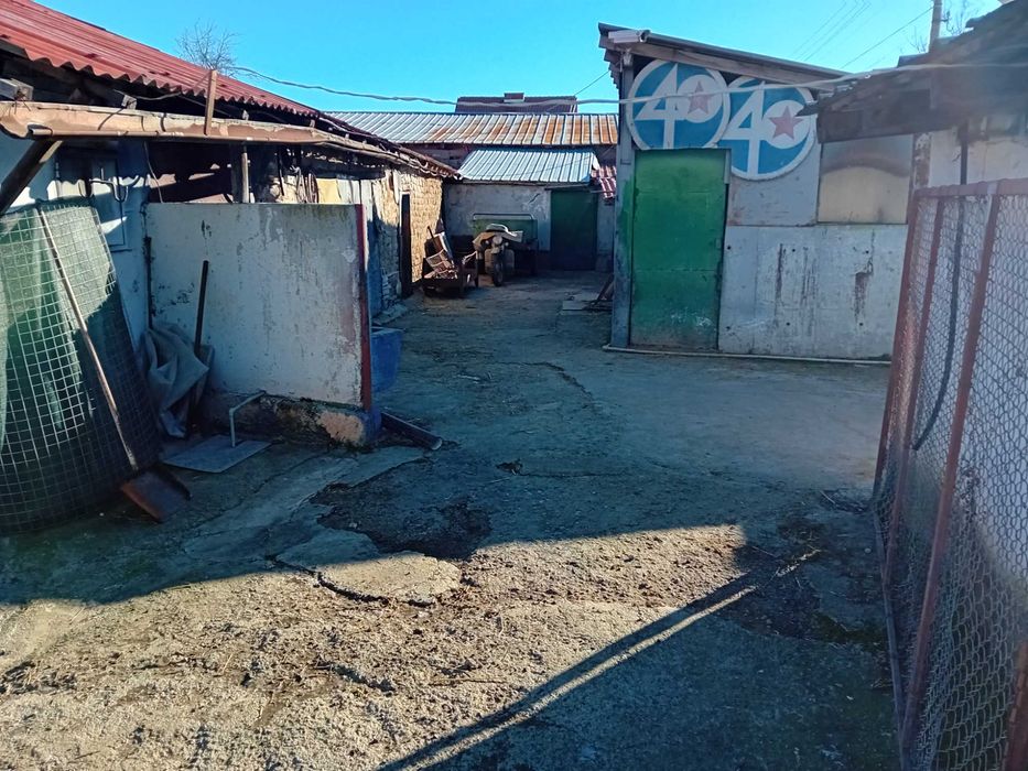 Обява в Село Калояновец