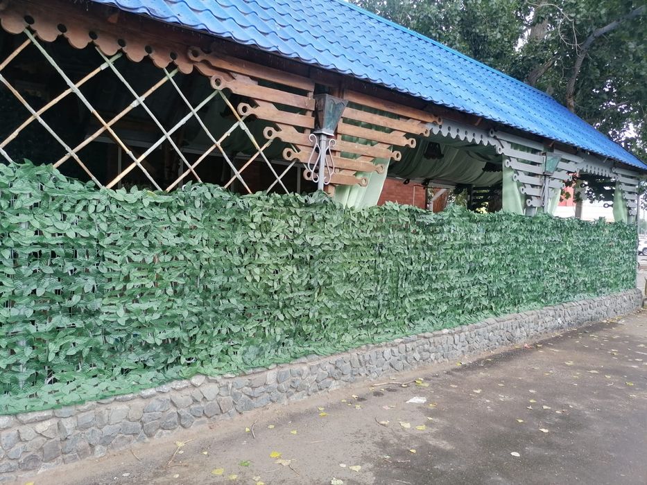 Летнее кафе  в аренду
