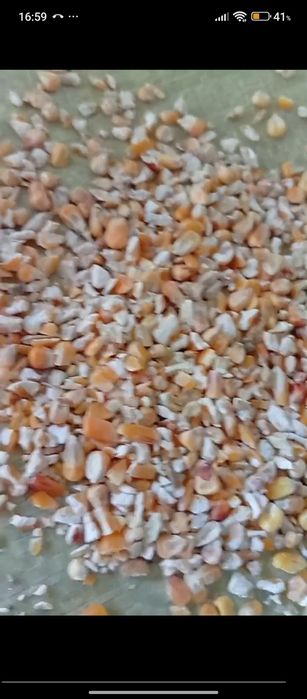 Johori drabilka qilingan makka drabilka жохори оптом  дробилка  150тон