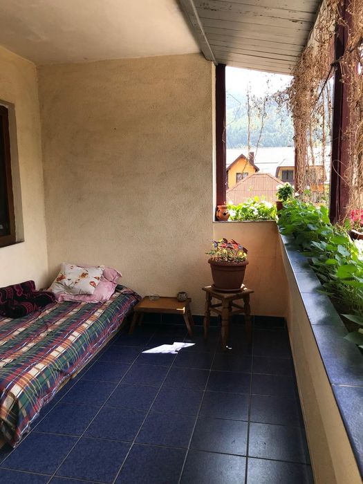 Apartament 3 camere