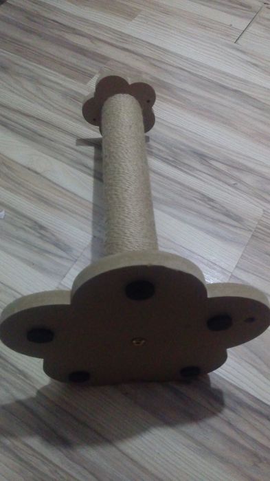 Когтеточка кошачья