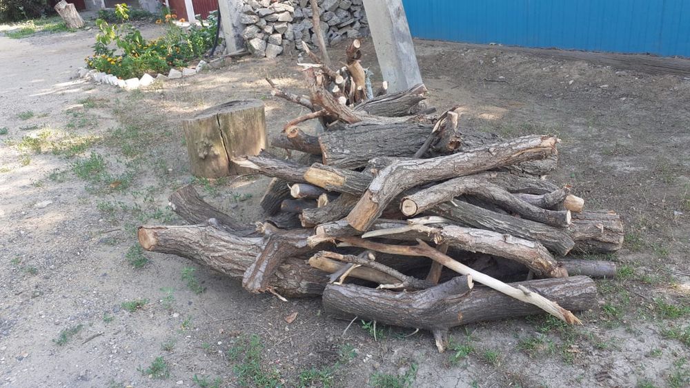 Бесплатно дрова на шашлык