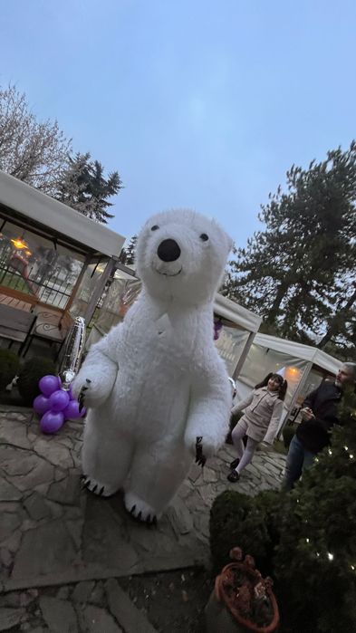 Бял мечок изненада парти