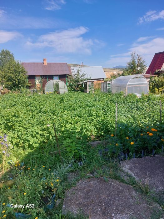 Дача в с/о "Медик"