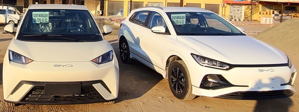 BYD Seagull flying versiyasi