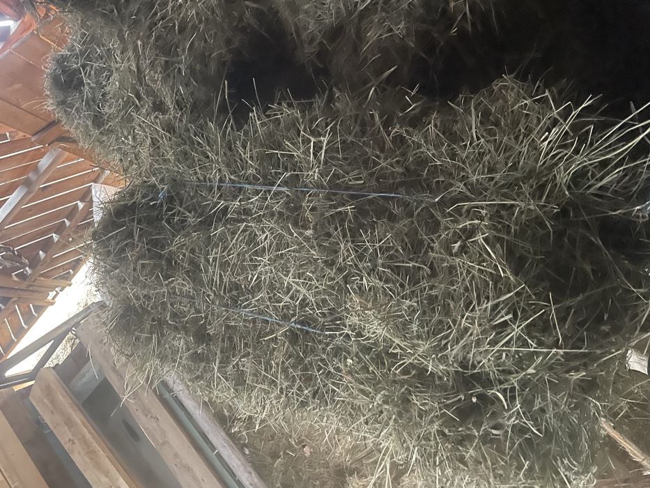 Baloti de fan si otava