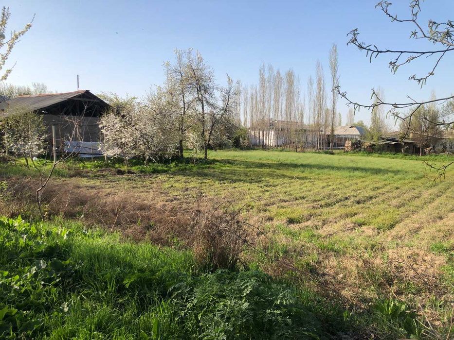 Yer sotiladi toytepada , dacha 25sotx