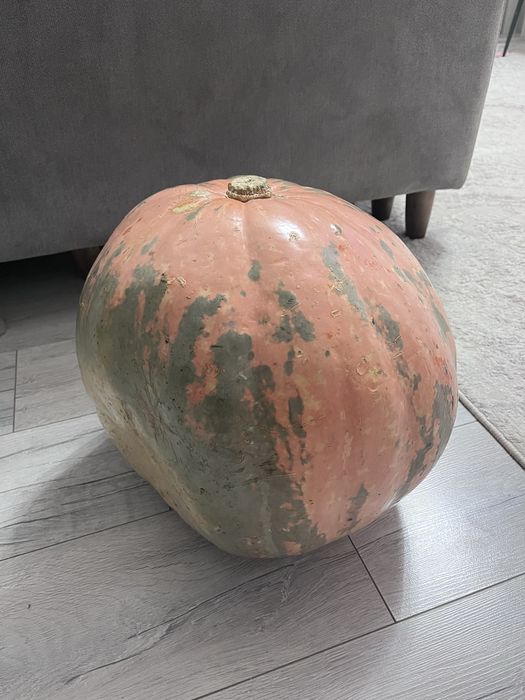 Продам Тыкву …. …