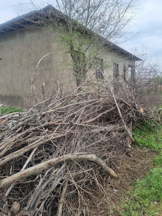 Тегін отын бар алыңыздар