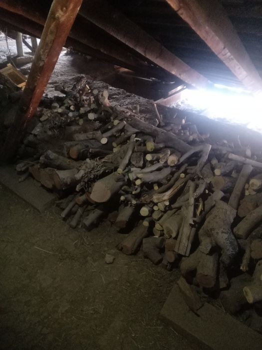 Xar xil turdagi o'tinlar