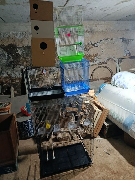 Всё за 500 тыс сум