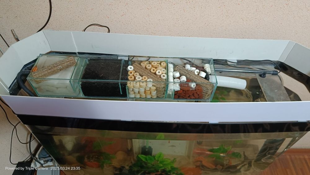 Akvarium quyma akril 250 Tali Ulgurib qoling+baliqlari bilan