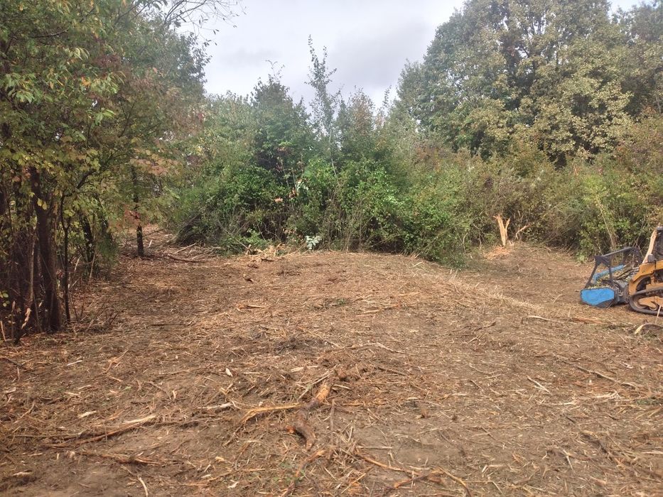 curățare teren defrisari tocator forestier burghiu pământ freză cioate