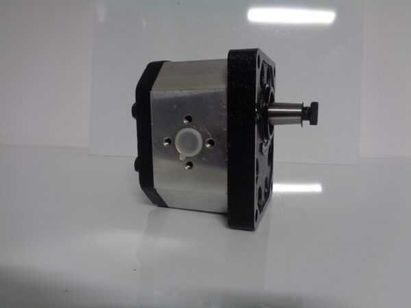 Pompa Landini 1000 1000 DT vigneti Class Dominator  Massey 3539857M91