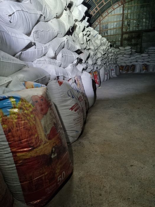 Отруби пшеничные - Кебек