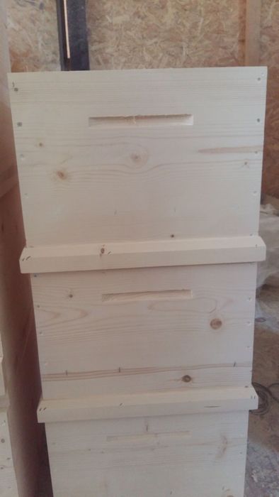 Stupi verticali,orizontali,roinite,nucleu de împerechere. alimentator.