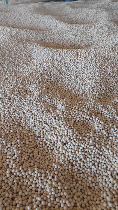 Vând mazăre pentru semanat si furaj