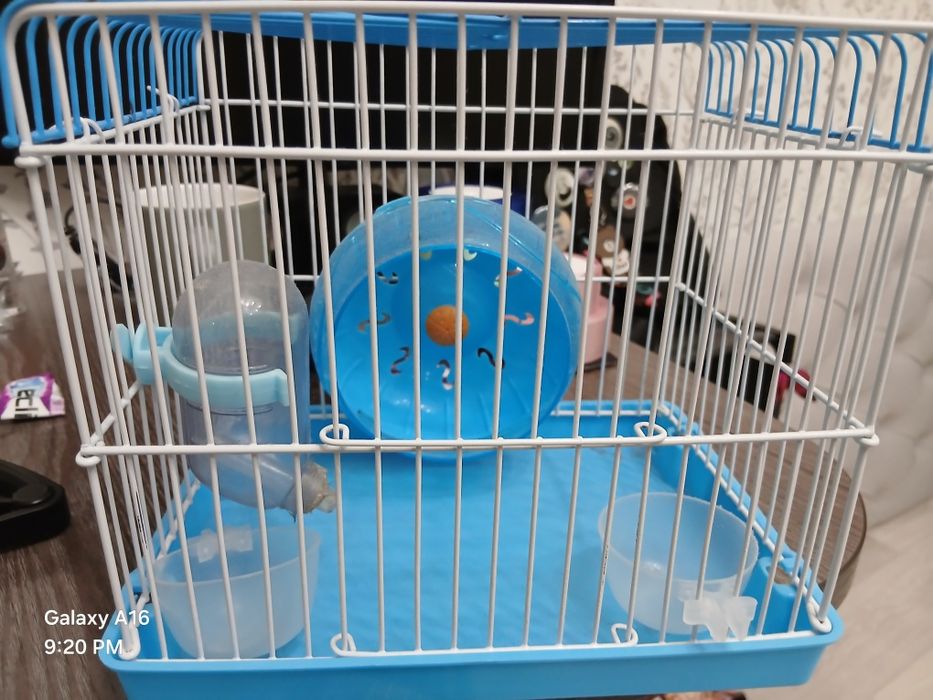 Продам клитки для хомяков