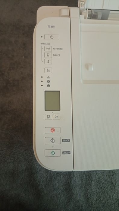 Принтер Canon TS5131