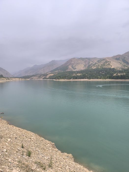 Сижжак кишлогида су́в бу́йида дача ва уйлар сотилади 1 сотихи