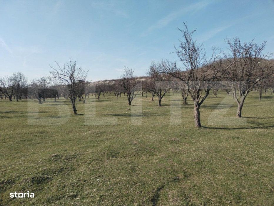 Teren intravilan cu suprafata de 9ha, Aninoasa