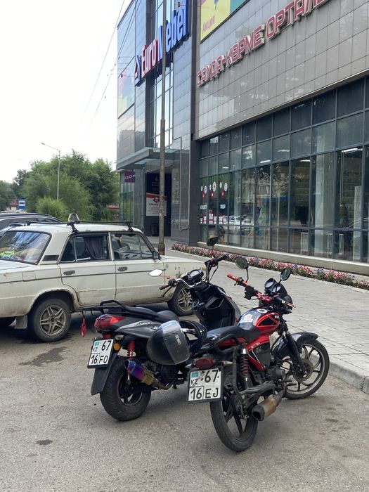 Продас Альфу мх на учете