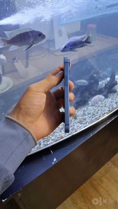 Iphone 13 mini ideal 256gb