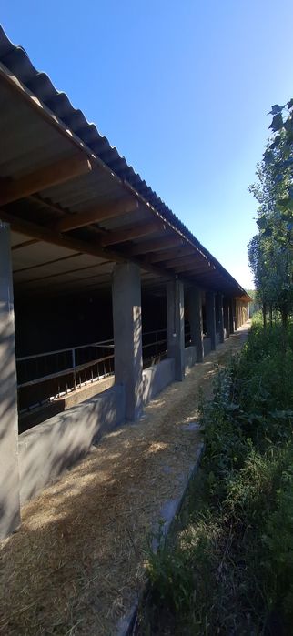 Ферма у трассы, 50 соток