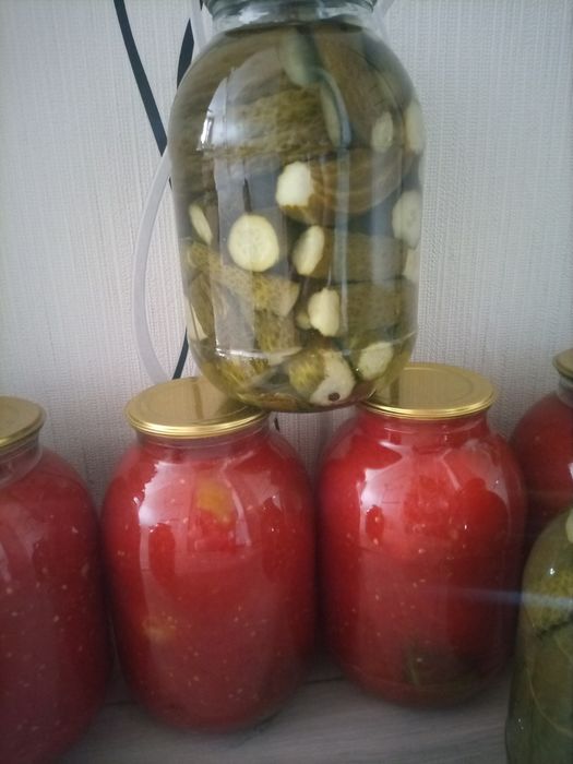 Продам огурцы, помидоры.