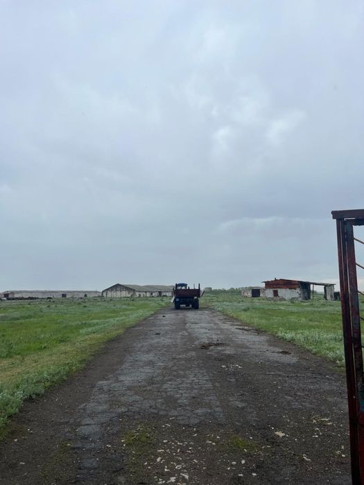 Срочно! Продам бывший зерноток | сельхозбаза | склады | СКО