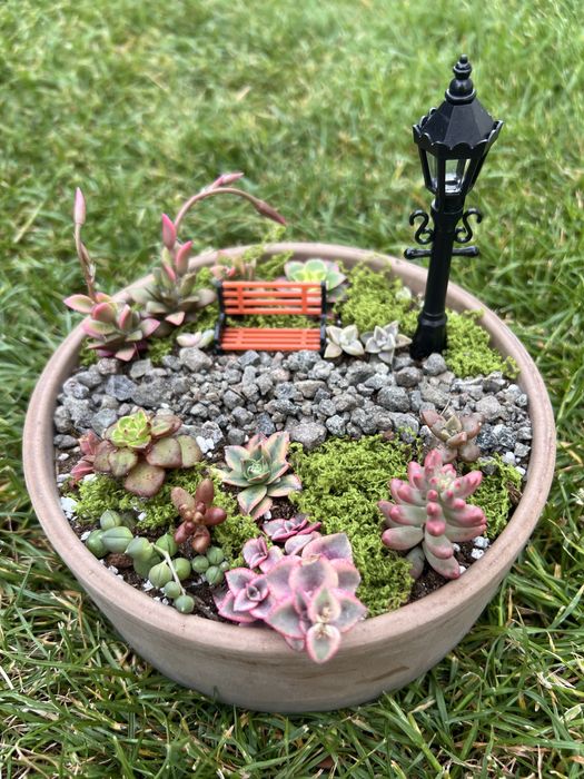 Aranjament din plante suculente si obiecte decorative