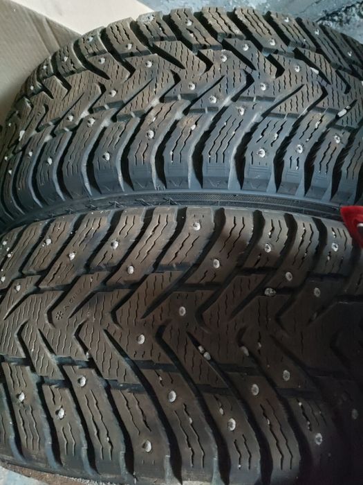 Нокиан, Данлоп зимняя