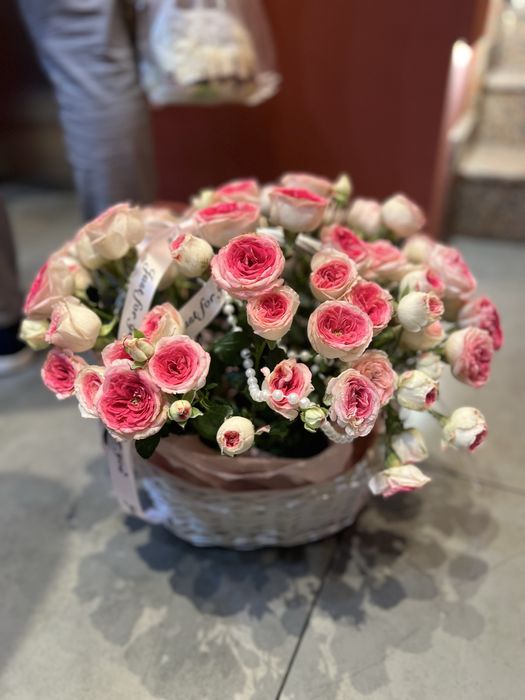 Срочно продам цветы