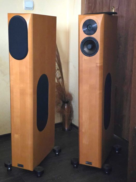 Audio Physic Virgo III