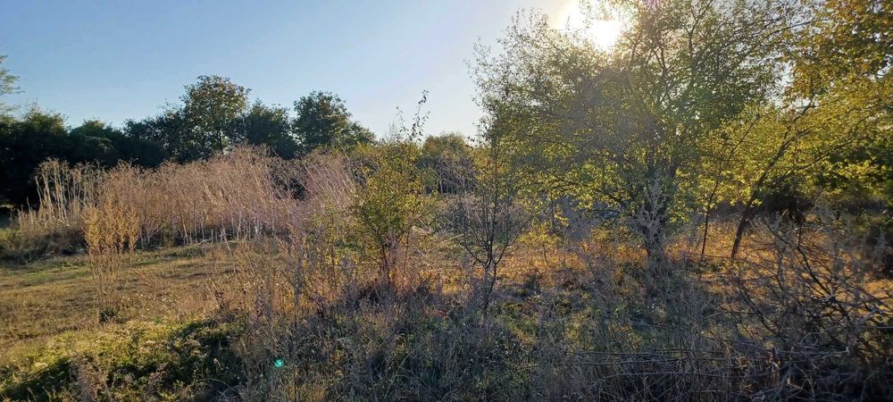 Продава се Парцел в Варна, Трошево - 3600 кв.м за 0 €/кв.м - Снимка #2