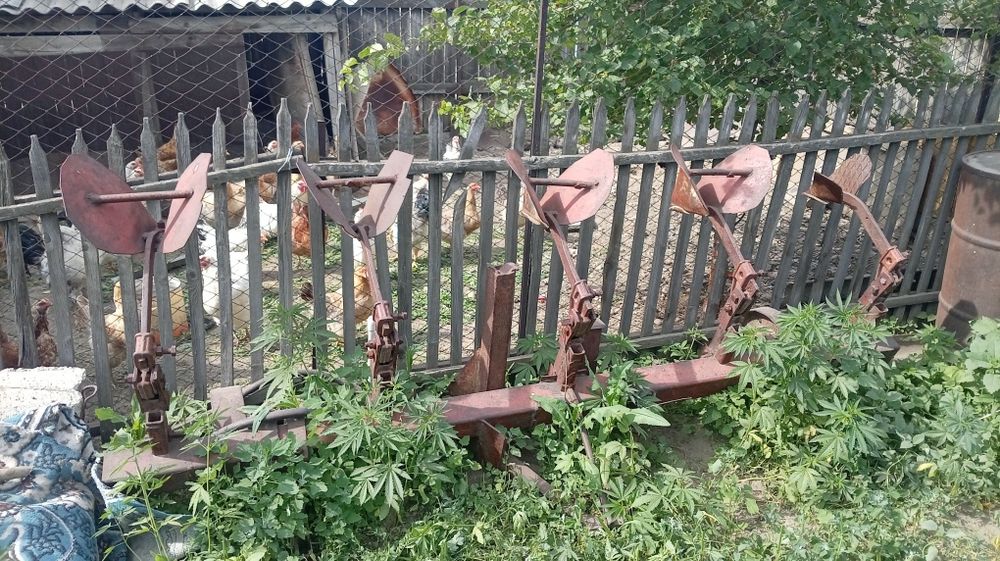 Трактор МТЗ 80 срочно продам