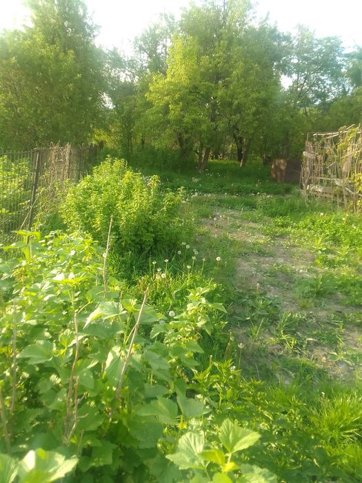 Продажа дач в Текели