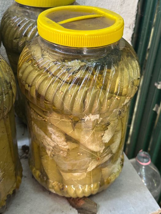 bidon 5L frunză de vița