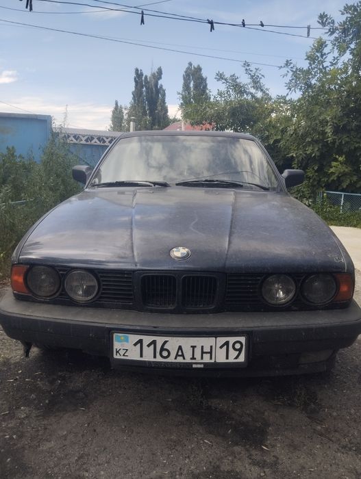 Продам живую Е34
