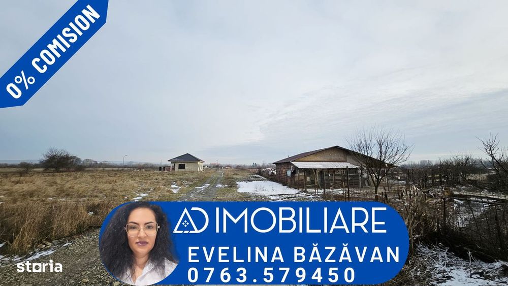 Teren de Vânzare în Turcinesti