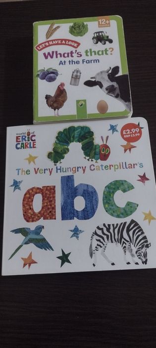 Carti pentru copii in limba engleza